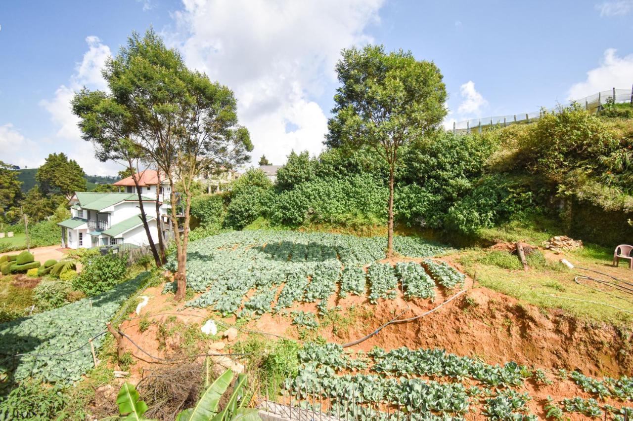 St. Anne Holiday Bunglow Nuwara Eliya Extérieur photo